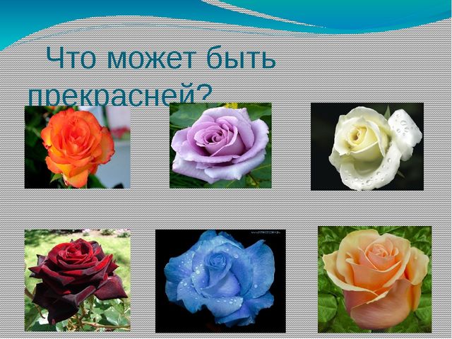Презентация "Мир цветов" (ознакомление дошкольников с природой)