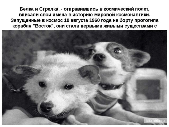 Презентация. В космическом пространстве Вселенной.