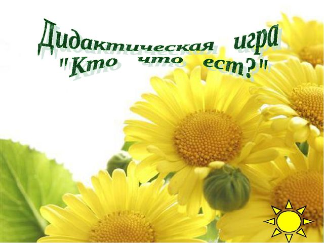 Презентация.Дикие и домашние животные.