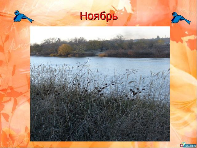 Презентация к занятию "Уж небо осенью дышало"