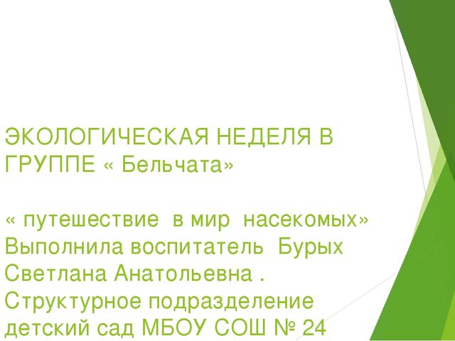 Презентация по экологическому воспитанию в ДОУ на тему " Путешествие насекомых"