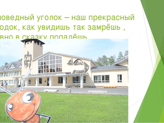 Презентация по экологическому воспитанию в ДОУ на тему " Путешествие насекомых"