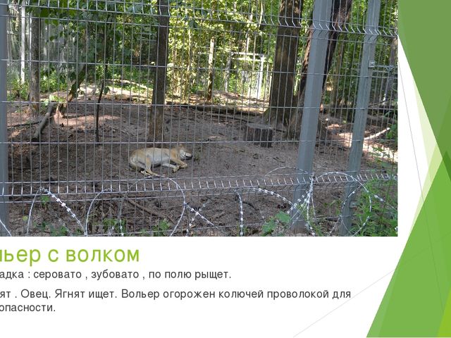Презентация по экологическому воспитанию в ДОУ на тему " Путешествие насекомых"