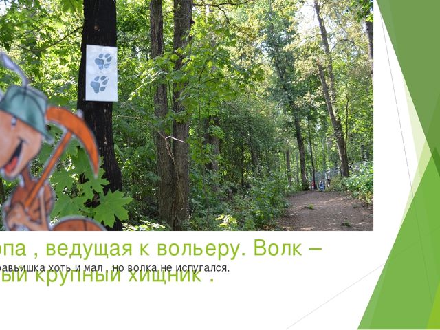 Презентация по экологическому воспитанию в ДОУ на тему " Путешествие насекомых"
