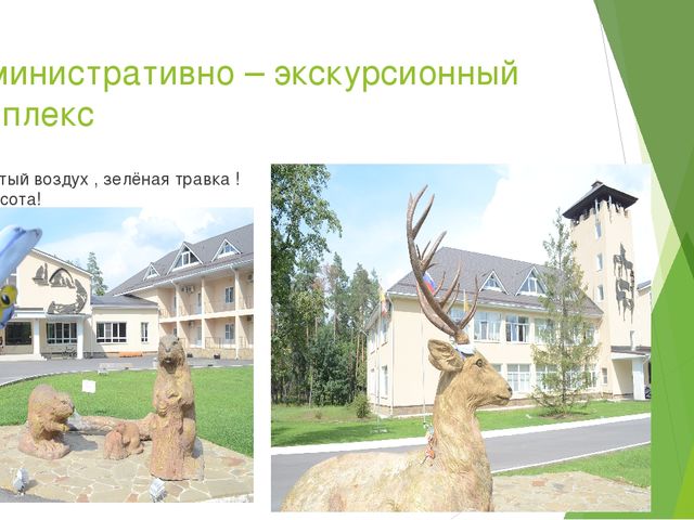 Презентация по экологическому воспитанию в ДОУ на тему " Путешествие насекомых"