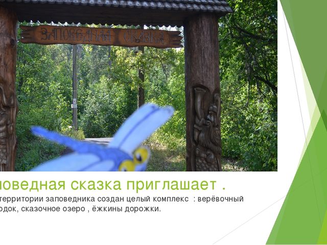 Презентация по экологическому воспитанию в ДОУ на тему " Путешествие насекомых"
