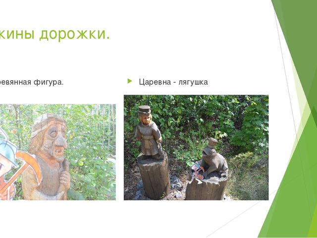Презентация по экологическому воспитанию в ДОУ на тему " Путешествие насекомых"