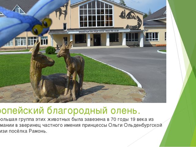 Презентация по экологическому воспитанию в ДОУ на тему " Путешествие насекомых"