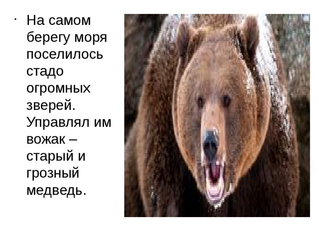 Презентация по развитию речи
