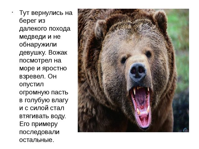 Презентация по развитию речи