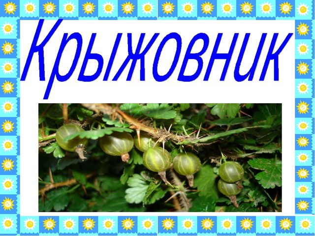 Презентация«Веселое путешествие в страну Знаний»