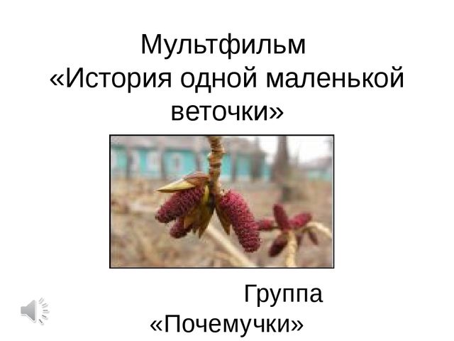 Детский мультфильм "История одной маленькой веточки"