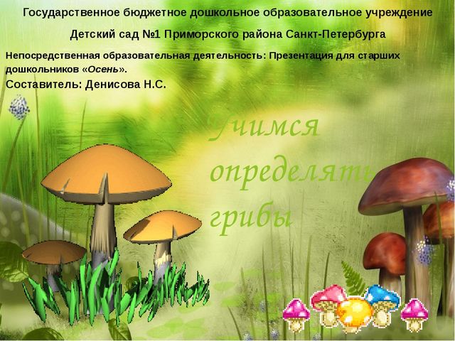 Презентация на тему:"Определение грибов"