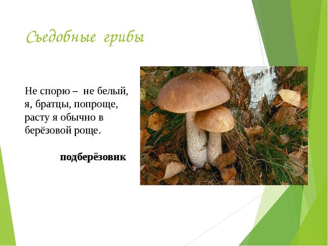 Презентация на тему:"Определение грибов"