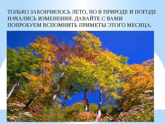 Презентация на тему: "Осень"