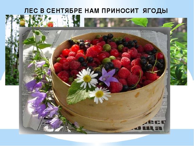 Презентация на тему: "Осень"
