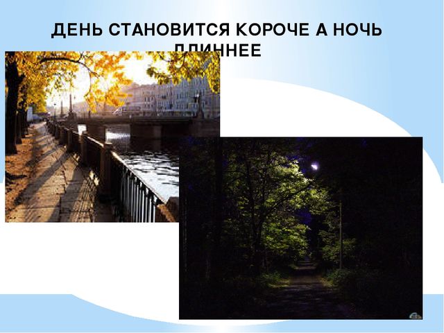 Презентация на тему: "Осень"