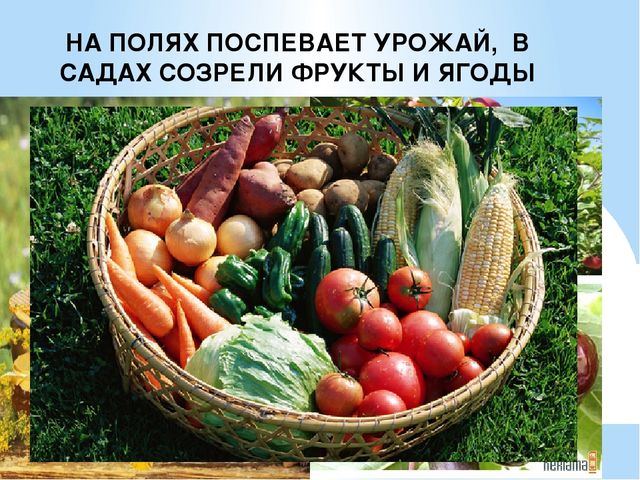 Презентация на тему: "Осень"