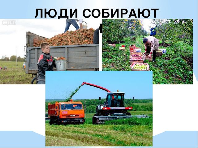 Презентация на тему: "Осень"
