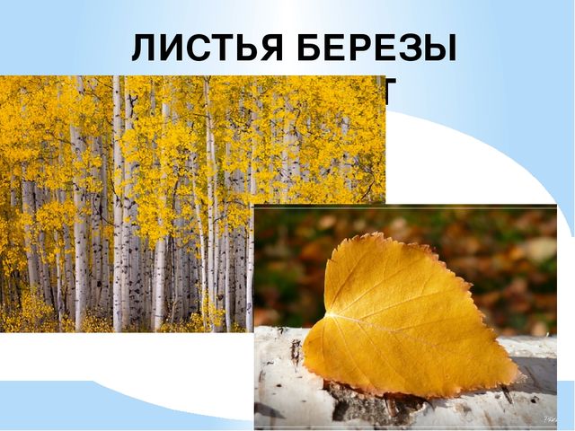 Презентация на тему: "Осень"
