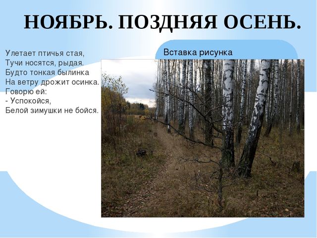 Презентация на тему: "Осень"