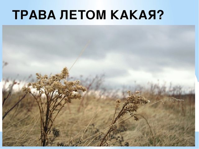 Презентация на тему: "Осень"