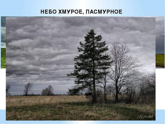 Презентация на тему: "Осень"
