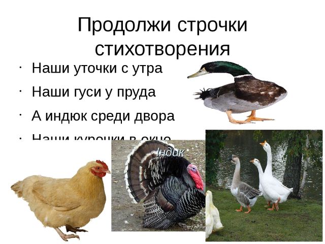 Презентация по развитие речи