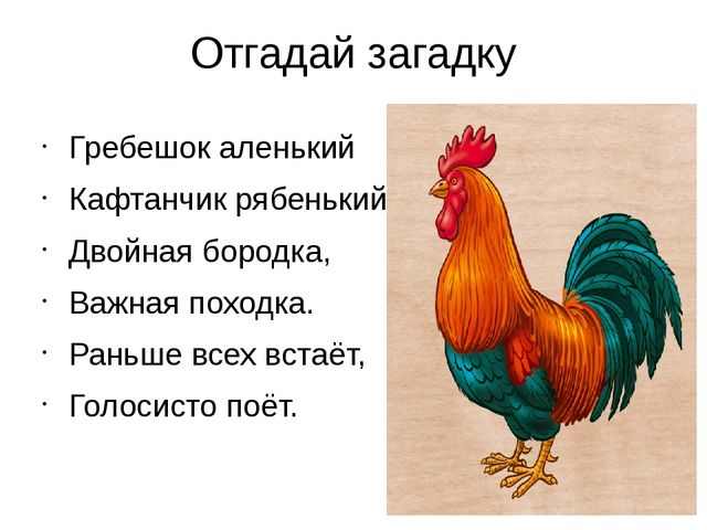 Презентация по развитие речи