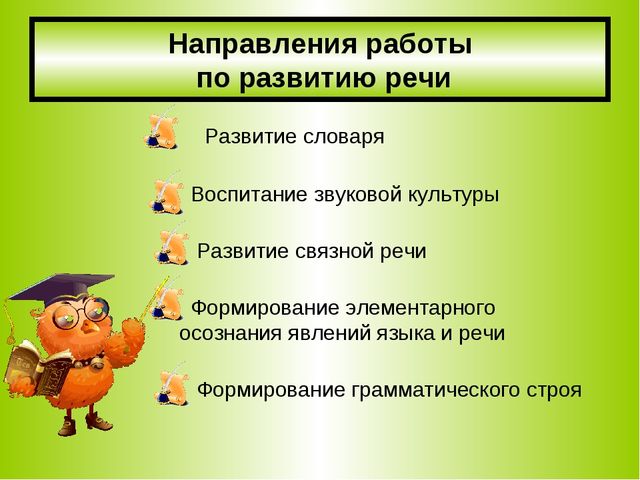 Содержание деятельности педагога по реализации речевого развития дошкольников при реализации ФГОС