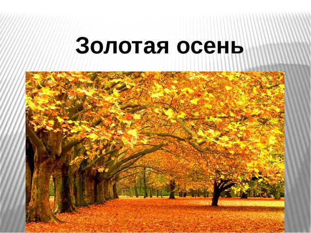 Презентация для детей старшей группы "Золотая осень"