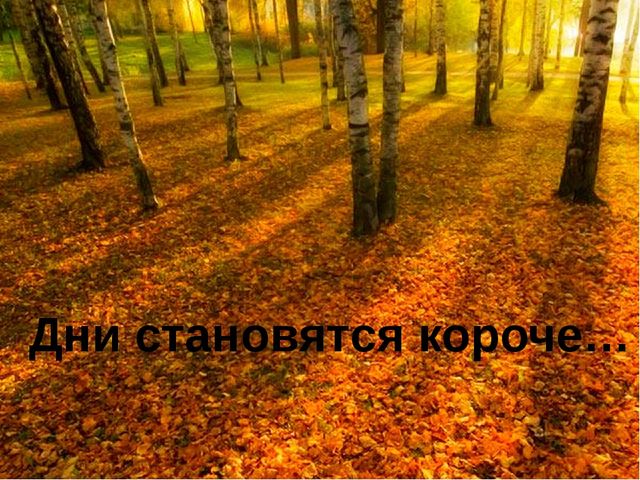 Презентация для детей старшей группы "Золотая осень"