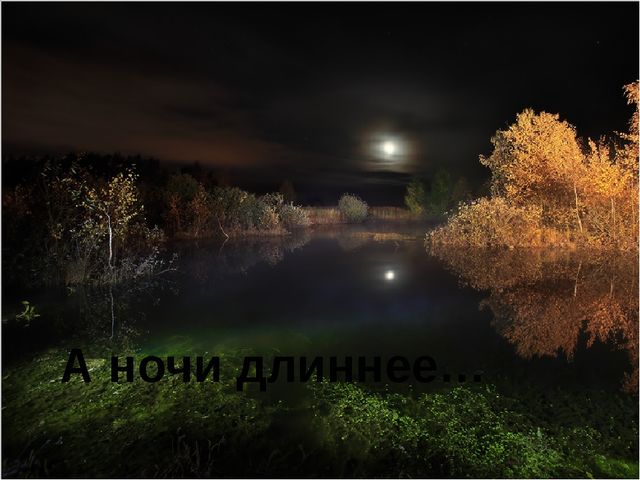 Презентация для детей старшей группы "Золотая осень"