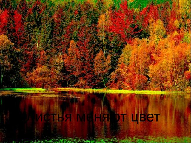 Презентация для детей старшей группы "Золотая осень"