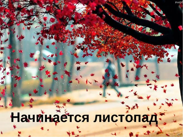 Презентация для детей старшей группы "Золотая осень"