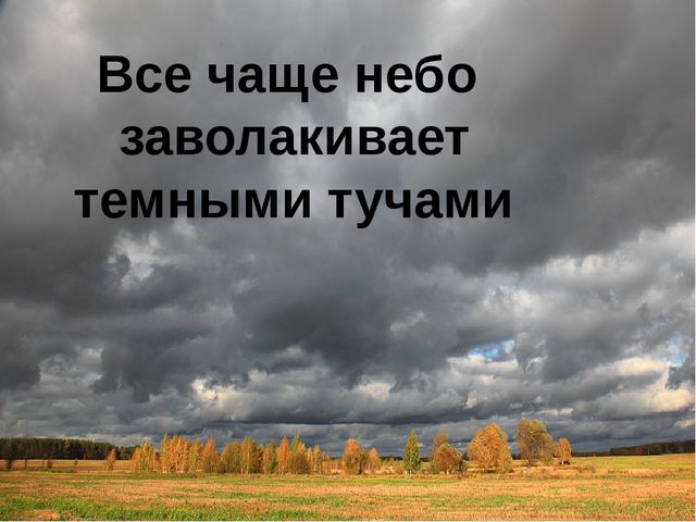 Презентация для детей старшей группы "Золотая осень"