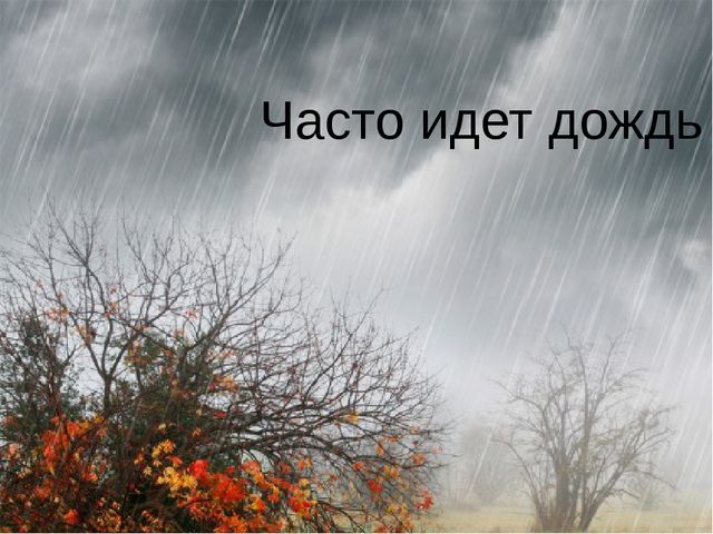 Презентация для детей старшей группы "Золотая осень"