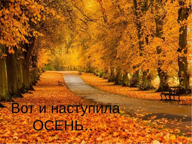 Презентация для детей старшей группы "Золотая осень"