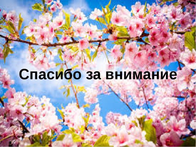 Презентация к родительскому собранию на тему "Деликатные вопросы воспитания"