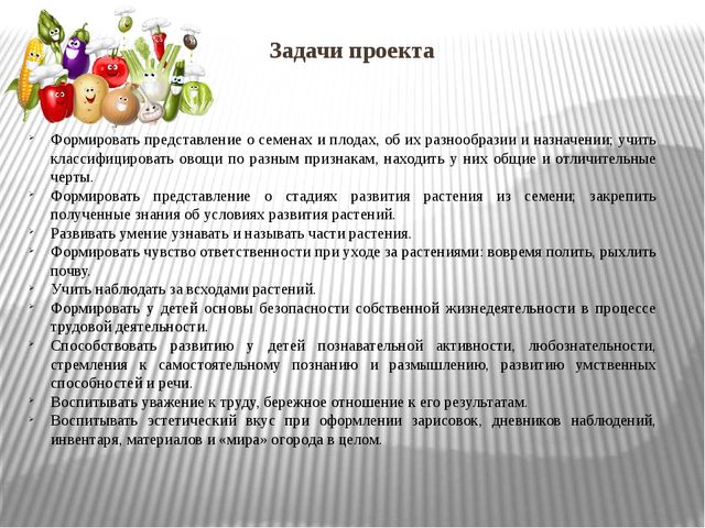 Презентация "Огород на окне"