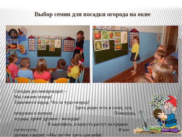 Презентация "Огород на окне"