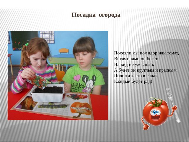 Презентация "Огород на окне"