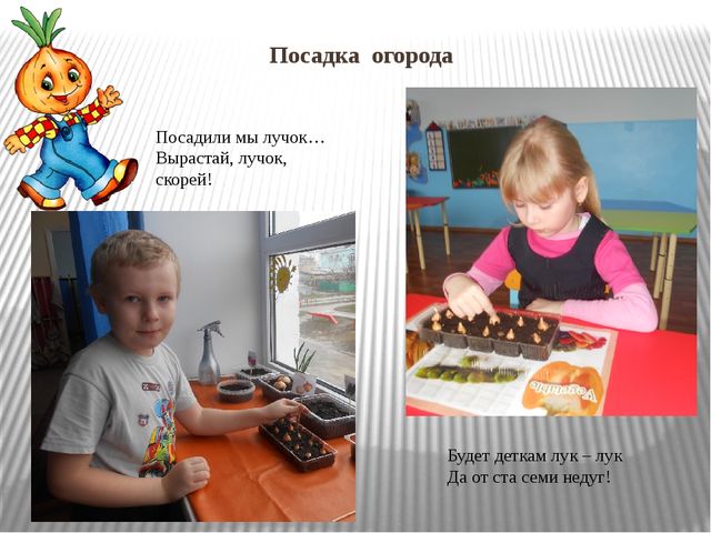 Презентация "Огород на окне"