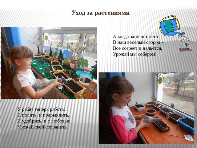 Презентация "Огород на окне"