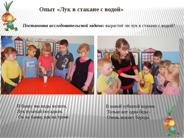 Презентация "Огород на окне"