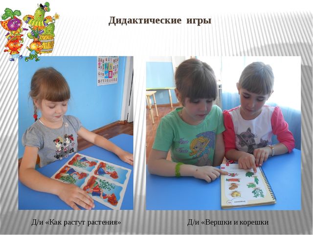 Презентация "Огород на окне"