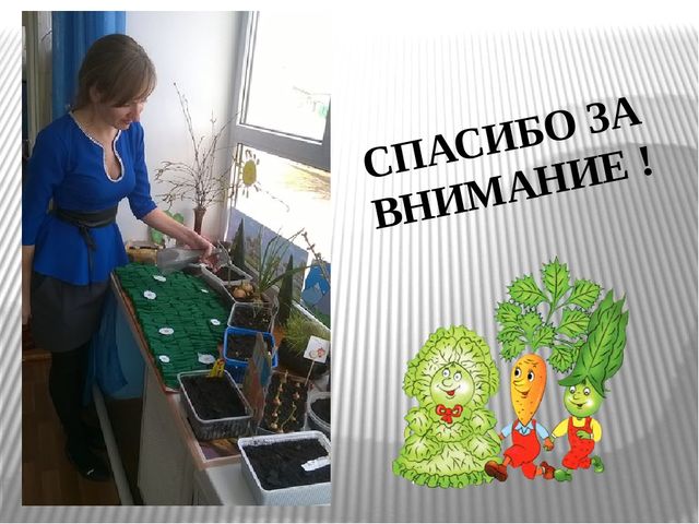 Презентация "Огород на окне"