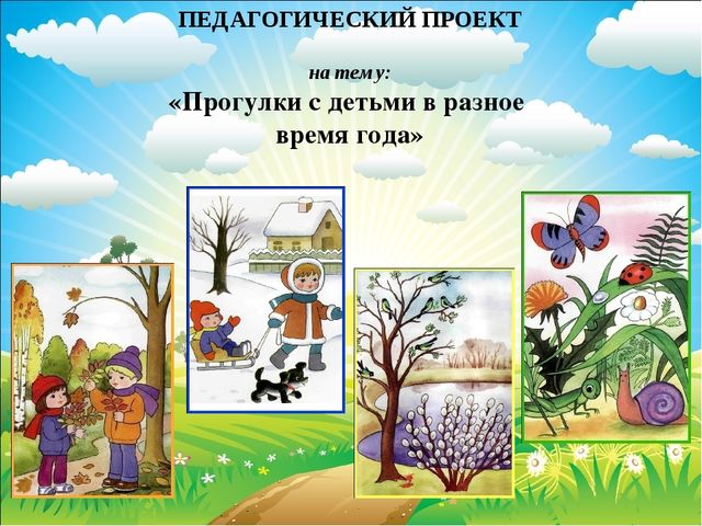 Презентация по познавательному развитию на тему "Прогулки с детьми в разное время года" (средняя группа)