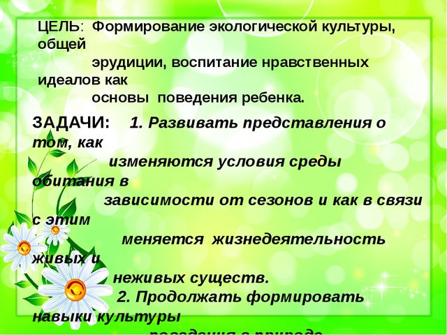 Презентация по познавательному развитию на тему "Прогулки с детьми в разное время года" (средняя группа)