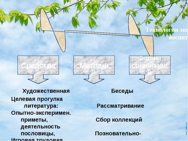 Презентация по познавательному развитию на тему "Прогулки с детьми в разное время года" (средняя группа)